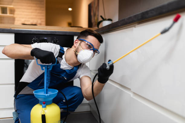 Best Pest Prevention Services  in Savannah, TX