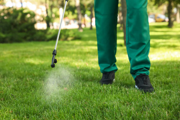 Pest Prevention Services in Savannah, TX