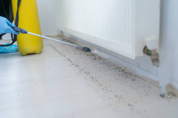 Pest Control Cost in Savannah, TX