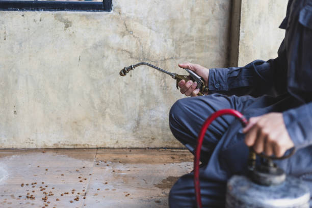 Best Best Pest Control Companies  in Savannah, TX